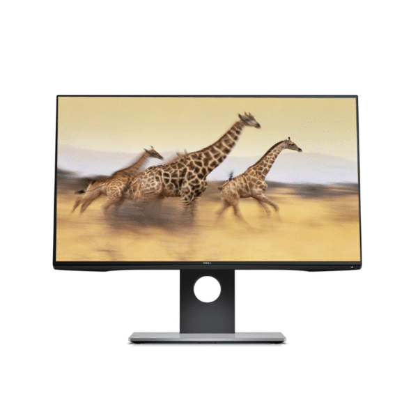 dell DELL U2417H - 24 Pouces