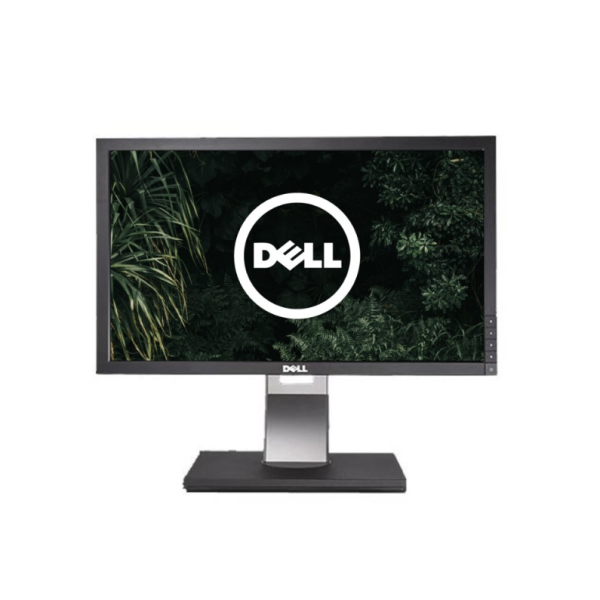 DELL P2210